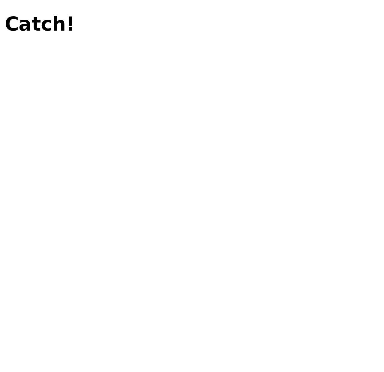 A white page with only the heading Catch! in the top-left corner.